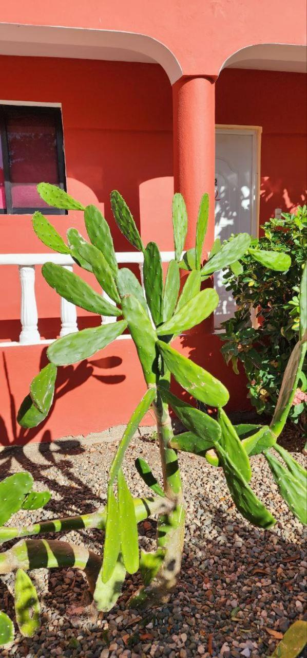 פונטה רוסיה Villa Kiki Ensenada מראה חיצוני תמונה