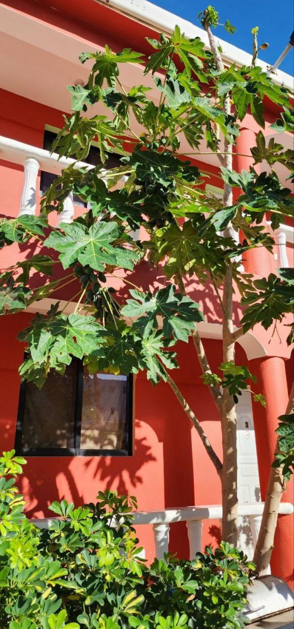 פונטה רוסיה Villa Kiki Ensenada מראה חיצוני תמונה